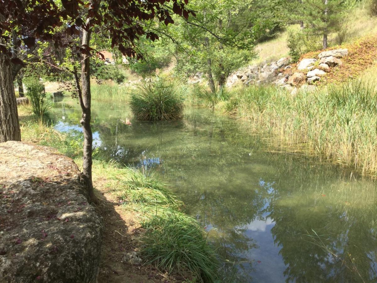 Mazet Tournesol Aux Portes Du Verdon Saint-Martin-de-Brômes Eksteriør bilde