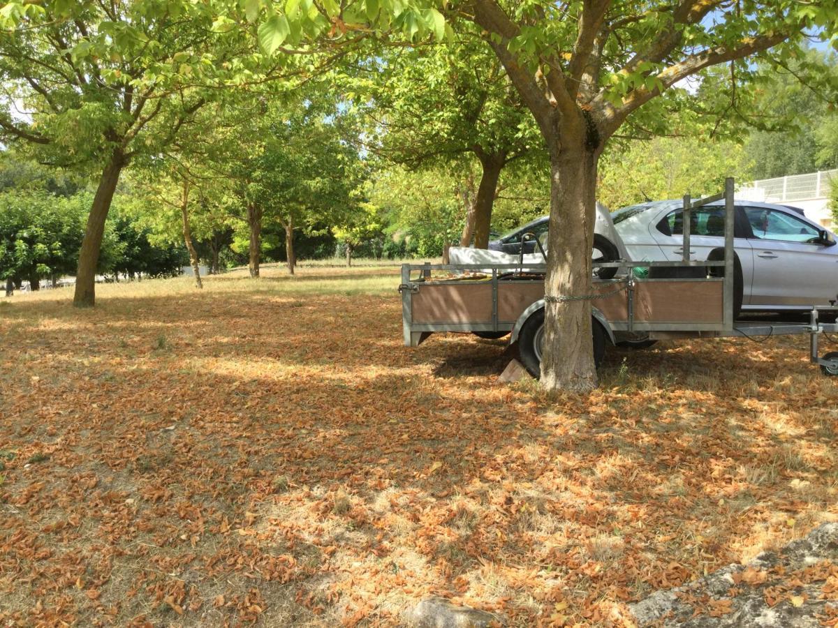Mazet Tournesol Aux Portes Du Verdon Saint-Martin-de-Brômes Eksteriør bilde